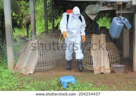 man in an overall plucking the feathers of a bird\'s corpse and putting them in a plastic bag to be analysed for bird flu