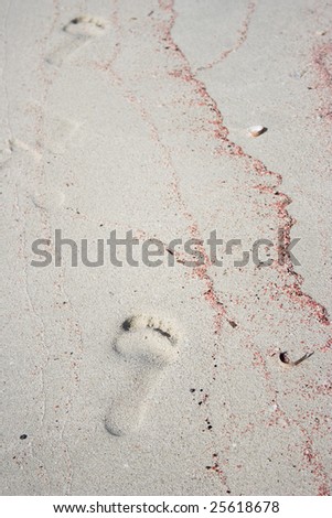 The human footprint on the beach with pink shell texture.