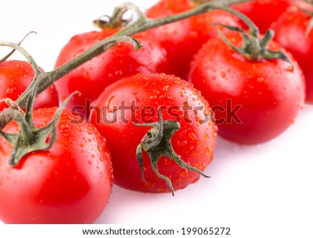 branch of ripe red tomatoes on a white background. can be used for display in a shop window.