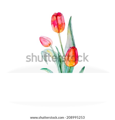 Beautiful banner for text with flowers tulip. Watercolors. For invitations, cards, covers. Vector.