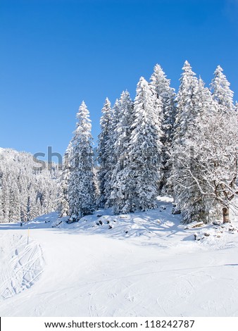 Typical swiss winter season landscape. January 2011, Switzerland.