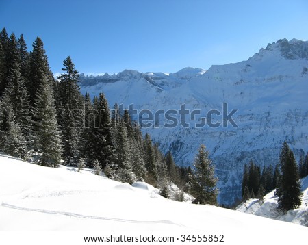 Winter landscape (Winter in Swiss Alps)