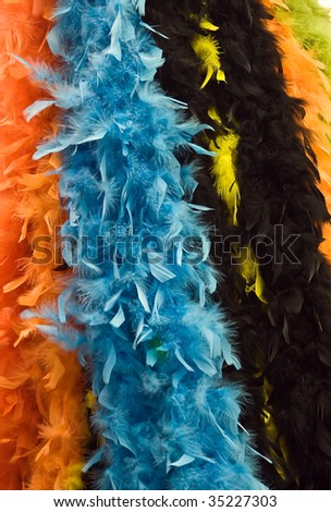Colored feather background