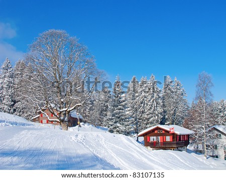 Swiss Alps Winter