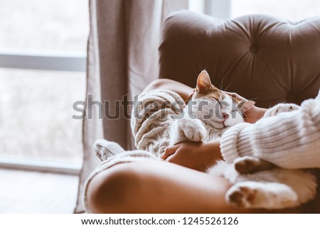 Cute cat sleeping on owners\'s hands one winter day. Girl relaxing with her pet on a sofa. Cosy scene, hygge concept.