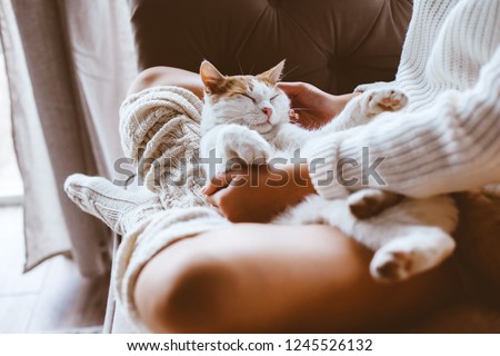 Cute cat sleeping on owners's hands one winter day. Girl relaxing with her pet on a sofa. Cosy scene, hygge concept.