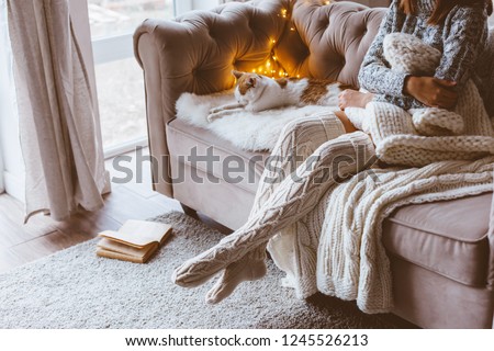 Cold autumn or winter weekend while relaxing with cat on a couch. Lazy day in knitted socks at home. Cosy scene, hygge concept.