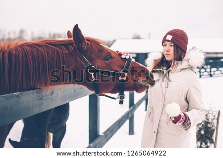 Photo of teenage girl feeding a horse on the ranch in cold snowy day. Healthy winter vacations in countryside.