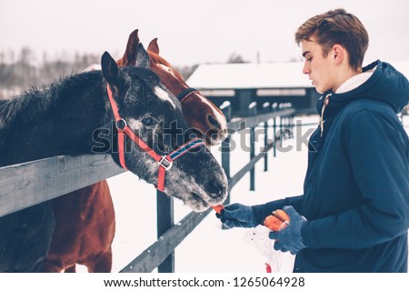Photo of teenage boy feeding a horse on the ranch in cold snowy day. Healthy winter vacations in countryside.