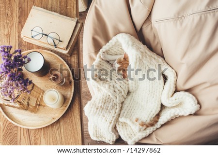 Ginger kitten sleeping on knitted woolen sweater. Wooden tray with home decor near the window. Fall weekend cozy concept.