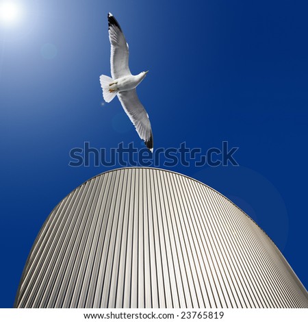 building with soaring bird