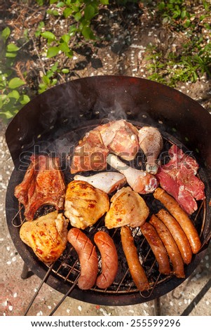 meat on barbecue, variety of meat on an outdoor, sunlit, smoking barbecue grill
