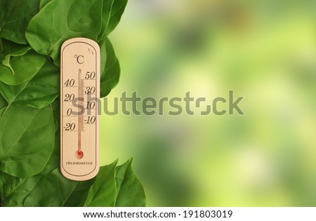 summer temperature on nature background