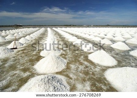 heap of salted harvesting in original tradition salt farm industry agricultural in coastal area central of thailand