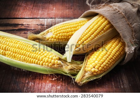 fresh corn on wooden table