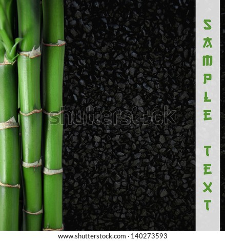 bamboo plants together with abstract background black stone