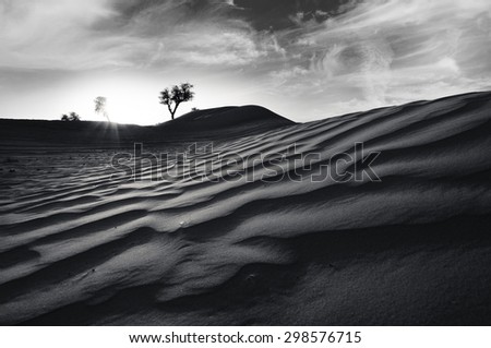 Desert of United Arab Emirates in a dramatic scene in black and white