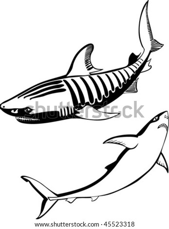 stock vector Tribal vector shark