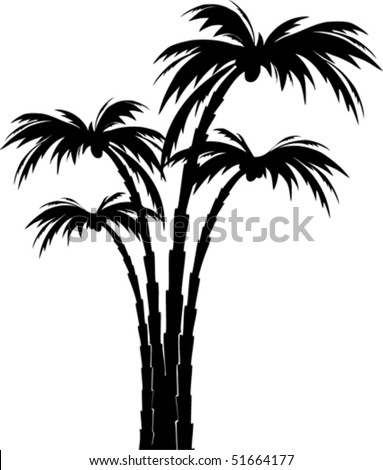 Vector Silhouette Palm Tree - 51664177 : Shutterstock