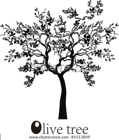 Olive Tree Drawing