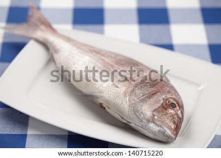 A red sea bream on a white porcelain plate. The plate is located on a blue-white checkered tablecloth.