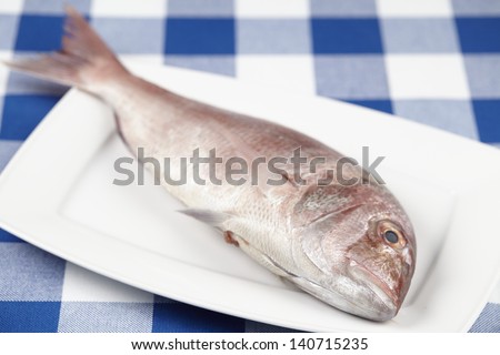 A red sea bream on a white porcelain plate. The plate is located on a blue-white checkered tablecloth.
