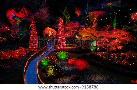 Christmas illumination in the park