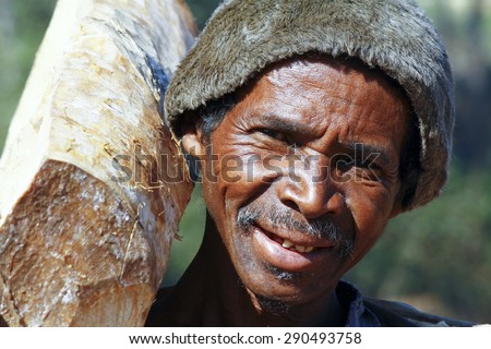 Hard working man carrying a tree trunk - MADAGASCAR poverty