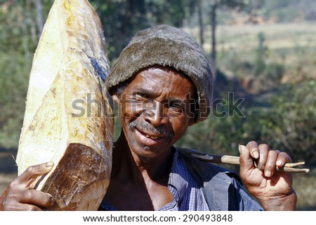 Hard working man carrying a tree trunk - MADAGASCAR poverty