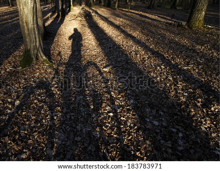 Shadow silhouette of a bicycle man in the forest