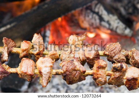 Pork pieces on wooden stick (traditional  shish kebab) roasting beside open fire