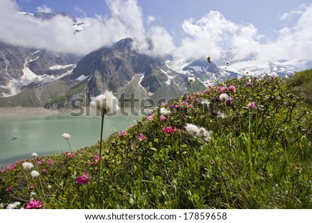 alpine herbs