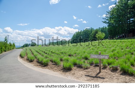 FURANO, JAPAN - JUNE 21, 2015 : Guide post in Tomita farm with flower field in summer on June 21, 2015. Tomita farm is the most famous tourist attraction in Furano, Hokkaido, Japan.