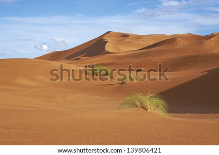 Sand dunes in the Sahara Desert of Morocco in North Africa