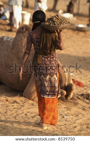 Woman carrying large bowl filled with camel dung for use as fuel at the Pushkar Camel Fair Rajasthan India