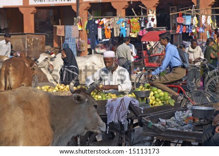 JAIPUR, INDIA - NOVEMBER 12: Unidentified people going about their business in a crowded street, complete with cows. November 12, 2007 in Jaipur, Rajasthan, India.