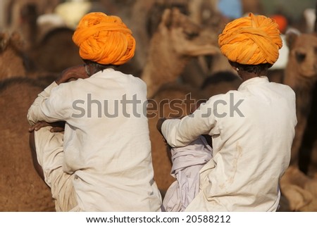 Camel owners in traditional white tunics and orange turbans at the Pushkar Fair. Rajasthan, India