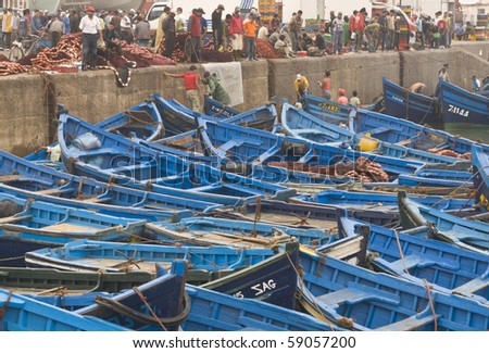 ESSAOUIRA, MOROCCO - AUGUST 29: Fish being offloaded from a fleet of small blue inshore fishing boats on August 29, 2009 in the fishing village of Essaouira, Morocco.