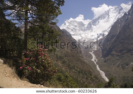 Trekking path through rhododendron forest and snow capped mountains en route to Everest Base Camp in the Himalayan Mountains of Nepal.