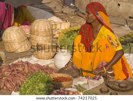 JAIPUR, INDIA - NOVEMBER 12: An unidentified woman sells vegetables by the road on November 12, 2007 in Jaipur, Rajasthan, India. In India poor women often sell vegetables to earn a small cash income.