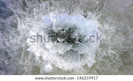 Ice rose