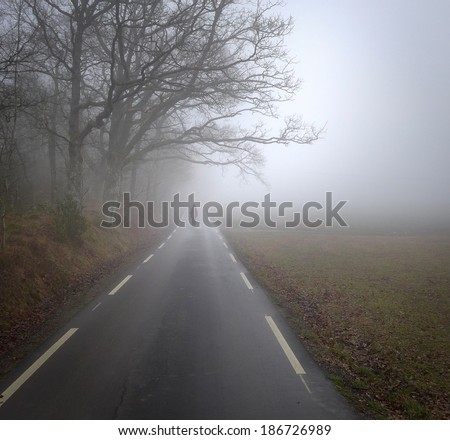 Road into landscape with a person walking in haze