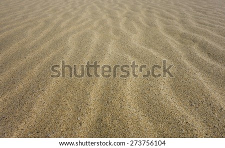 Footsteps in Sand