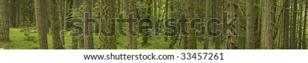 A meshed panorama of several images forms a great environmental banner, great for web pages or posters, XXL file