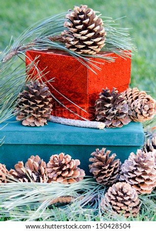 Pine Cones and Gifts Pine cones and fresh long needle pine branches covering boxes.  The boxes are red metallic and green suede.  The background is green.