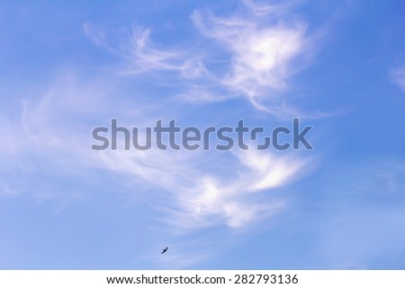 One bird high in blue sky with light clouds