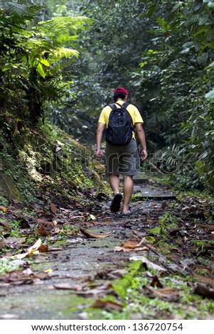 man hiking in a thick rainforest
