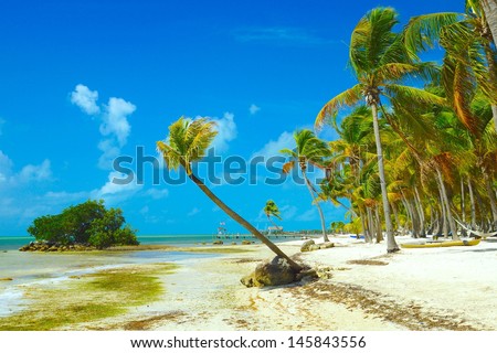 Desert Island beach with a small mangrove island