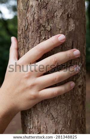 Male hand holds tree trunk showing all fingers
