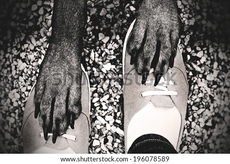 human feet and dog paws